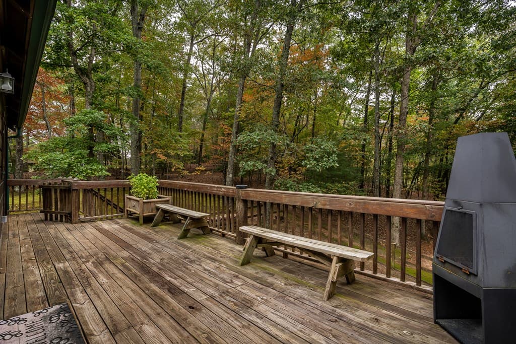 1994 Douthit Road, Mineral Bluff GA 30559 - Photo