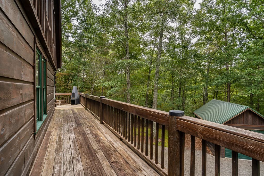 1994 Douthit Road, Mineral Bluff GA 30559 - Photo