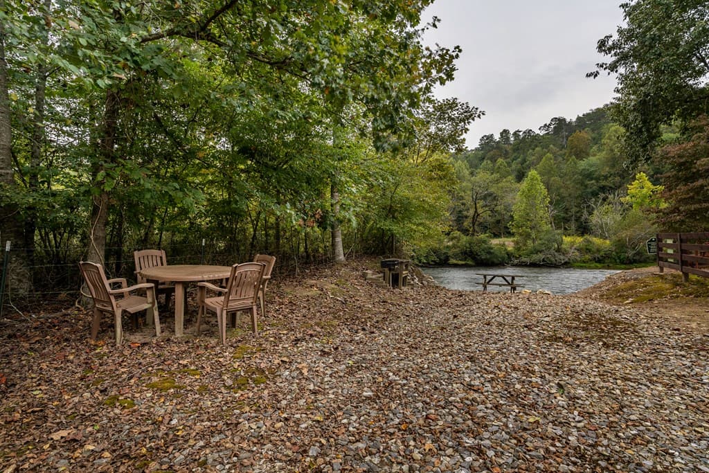 1994 Douthit Road, Mineral Bluff GA 30559 - Photo