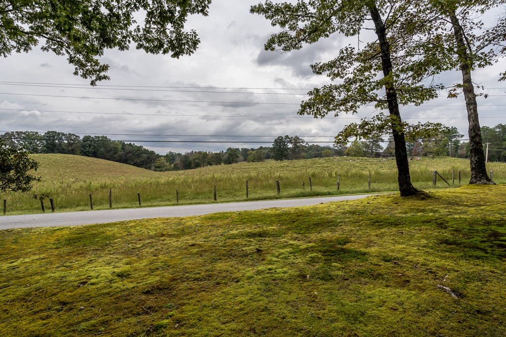 1994 Douthit Road, Mineral Bluff GA 30559 - Photo