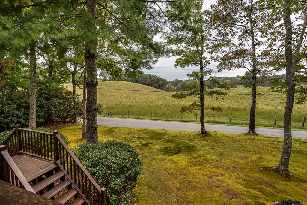 1994 Douthit Road, Mineral Bluff GA 30559 - Photo