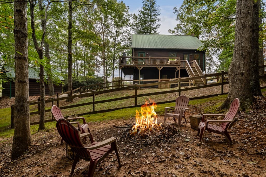 1994 Douthit Road, Mineral Bluff GA 30559 - Photo