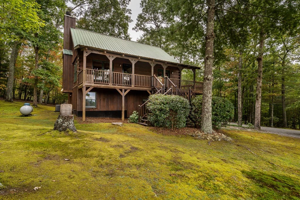 1994 Douthit Road, Mineral Bluff GA 30559 - Photo