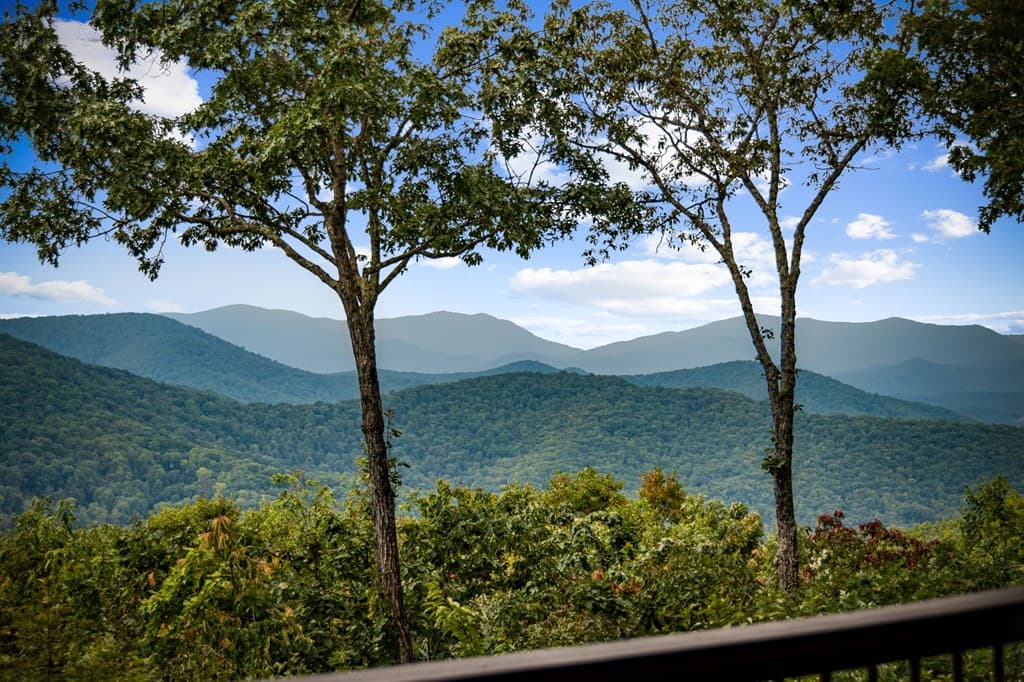 260 Huckleberry Hollow, Morganton GA 30560 - Photo