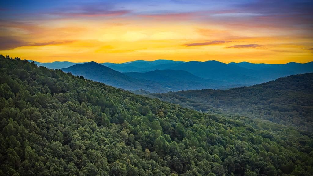 260 Huckleberry Hollow, Morganton GA 30560 - Photo