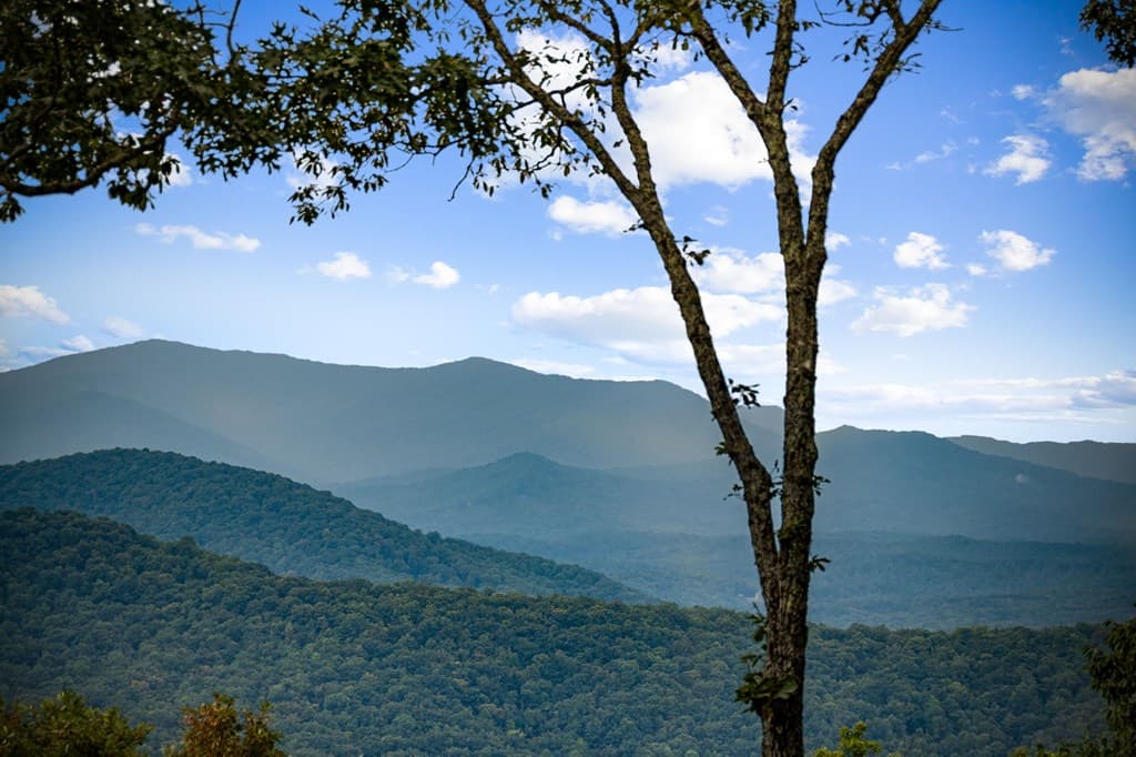260 Huckleberry Hollow, Morganton GA 30560 - Photo