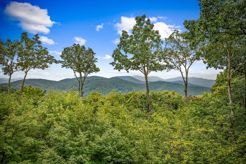 260 Huckleberry Hollow, Morganton GA 30560 - Photo
