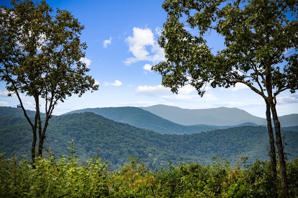 260 Huckleberry Hollow, Morganton GA 30560 - Photo