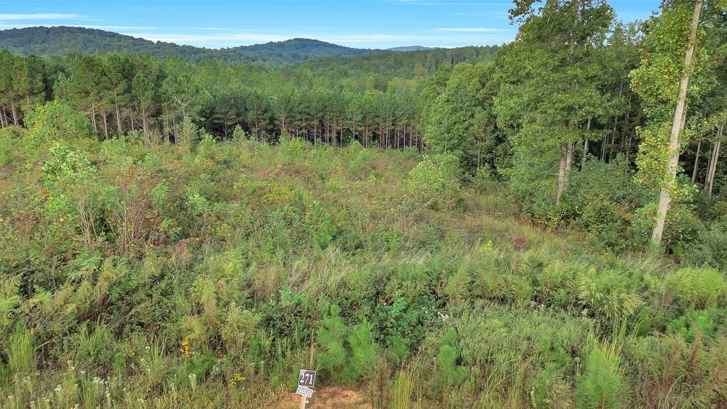 271 Highgrove Drive, Talking Rock GA 30175 - Photo