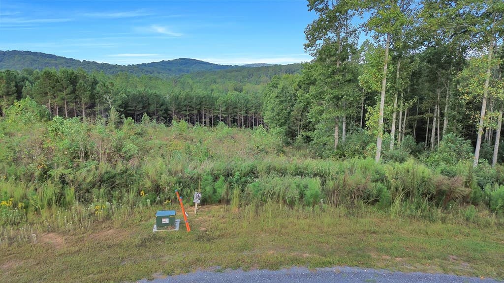 271 Highgrove Drive, Talking Rock GA 30175 - Photo