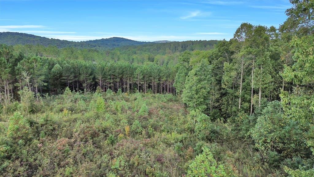 271 Highgrove Drive, Talking Rock GA 30175 - Photo