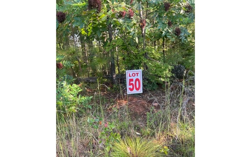 LT 50 White Pine Ridge, Ellijay GA 30540 - Photo