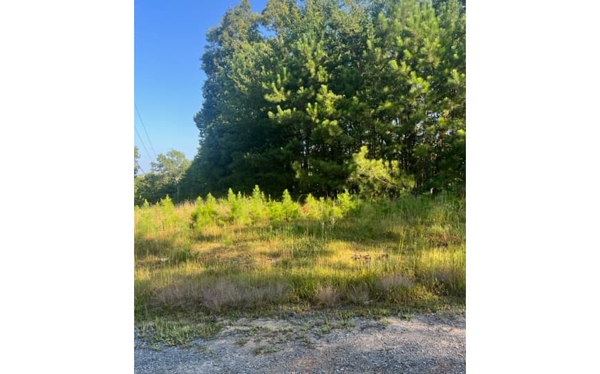 LT 50 White Pine Ridge, Ellijay GA 30540 - Photo