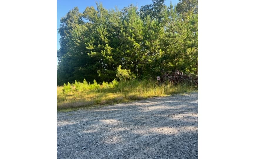 LT 50 White Pine Ridge, Ellijay GA 30540 - Photo