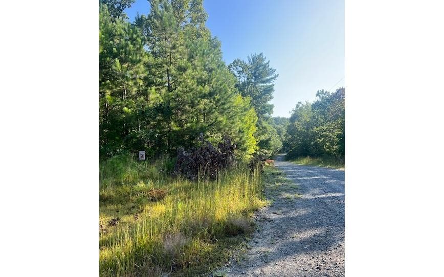 LT 50 White Pine Ridge, Ellijay GA 30540 - Primary photo