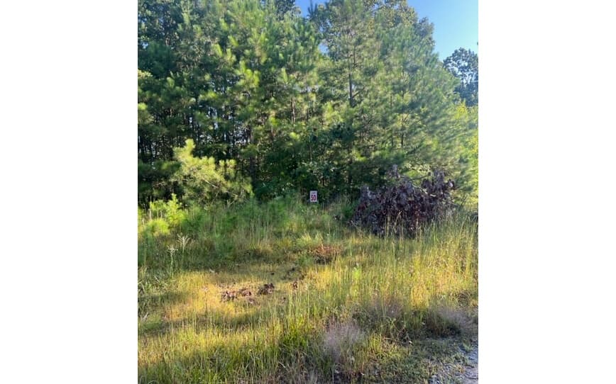 LT 50 White Pine Ridge, Ellijay GA 30540 - Photo