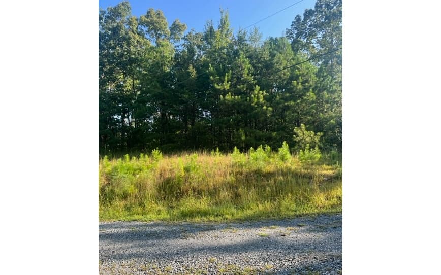 LT 50 White Pine Ridge, Ellijay GA 30540 - Photo