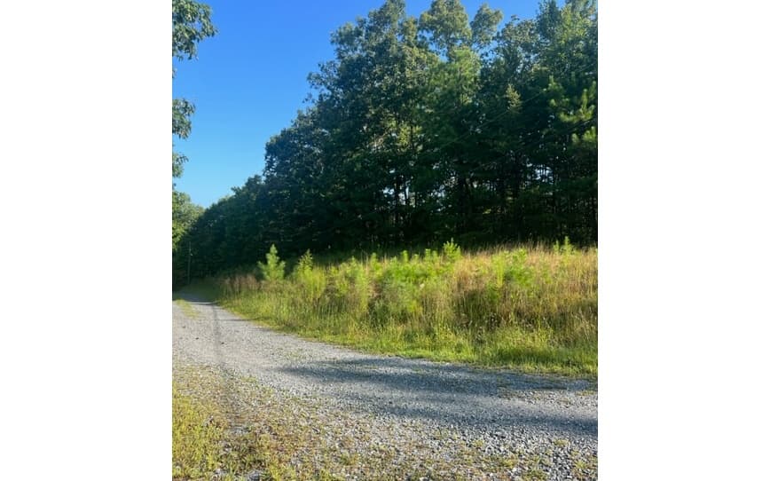 LT 50 White Pine Ridge, Ellijay GA 30540 - Photo