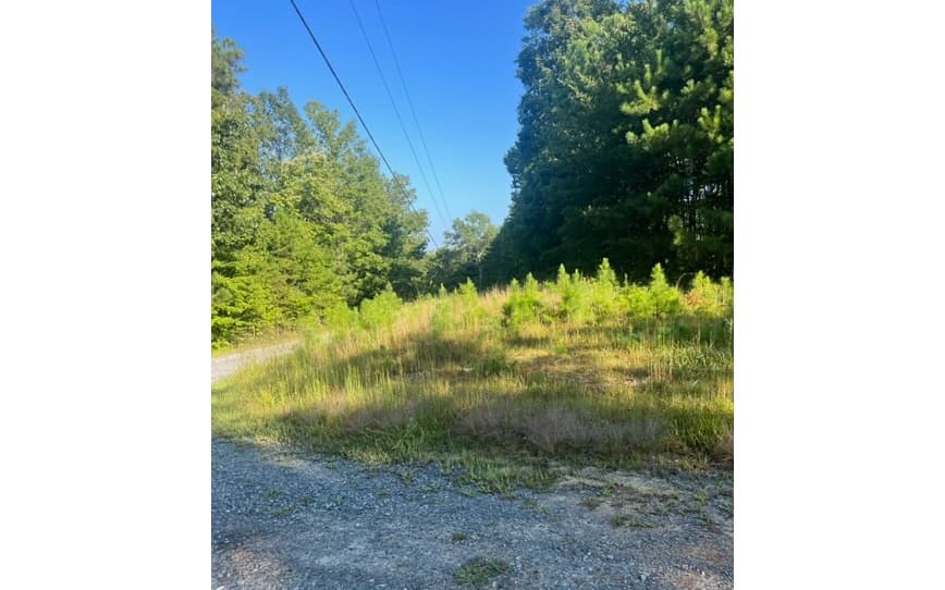 LT 50 White Pine Ridge, Ellijay GA 30540 - Photo