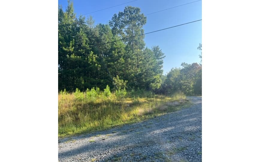 LT 50 White Pine Ridge, Ellijay GA 30540 - Photo