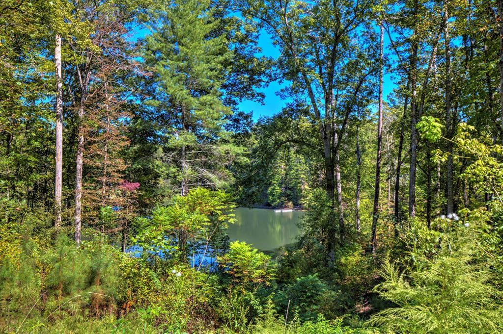 LT 34 Hilton Drive, Ellijay GA 30540 - Photo