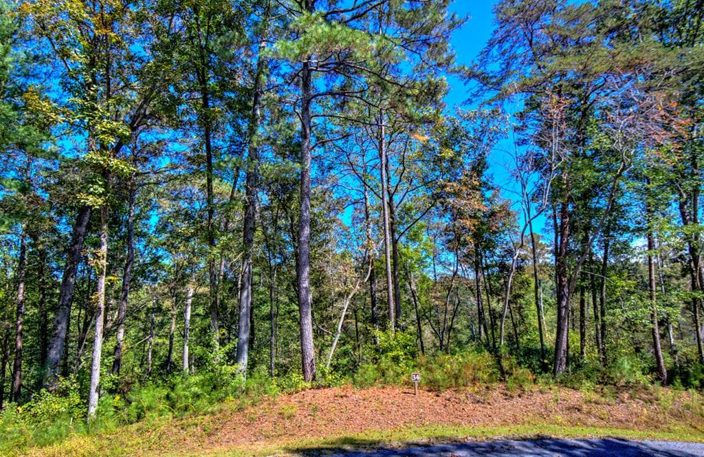 LT 34 Hilton Drive, Ellijay GA 30540 - Primary photo