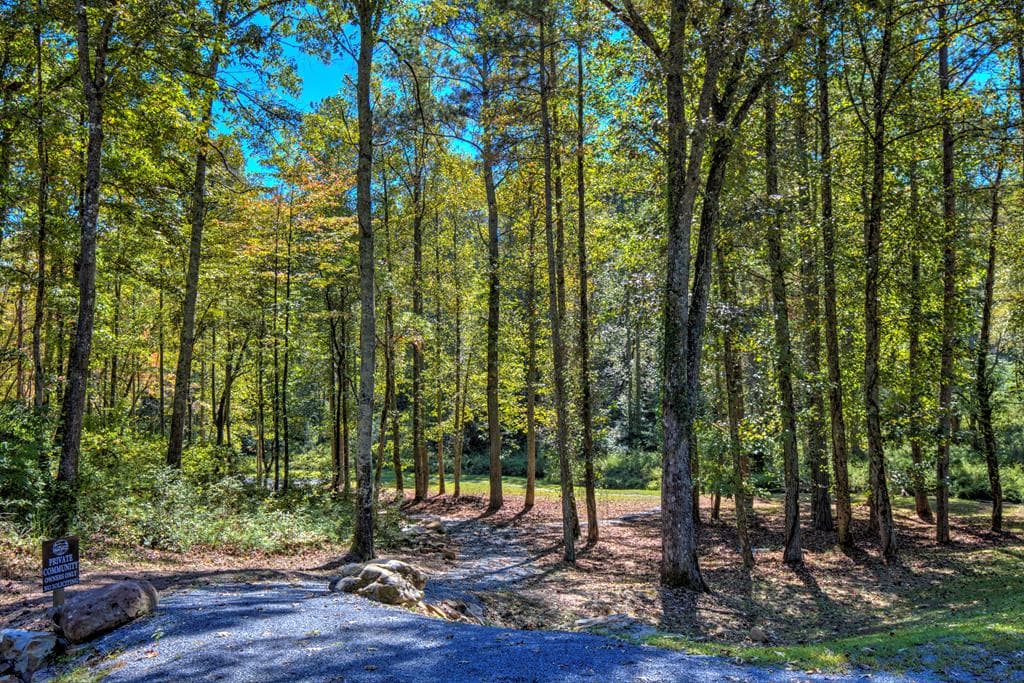 LT 34 Hilton Drive, Ellijay GA 30540 - Photo