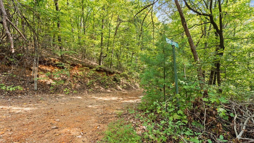 23 B Double Knob, Cherry Log GA 30522 - Photo