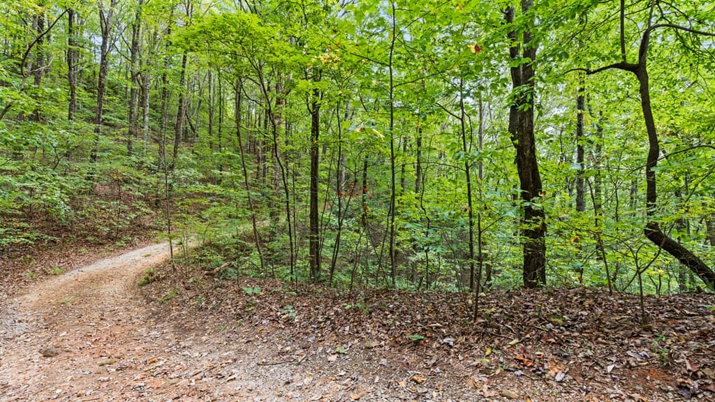 23 B Double Knob, Cherry Log GA 30522 - Photo