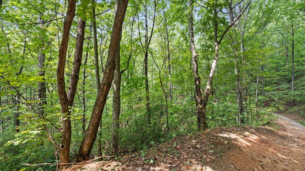23 B Double Knob, Cherry Log GA 30522 - Photo