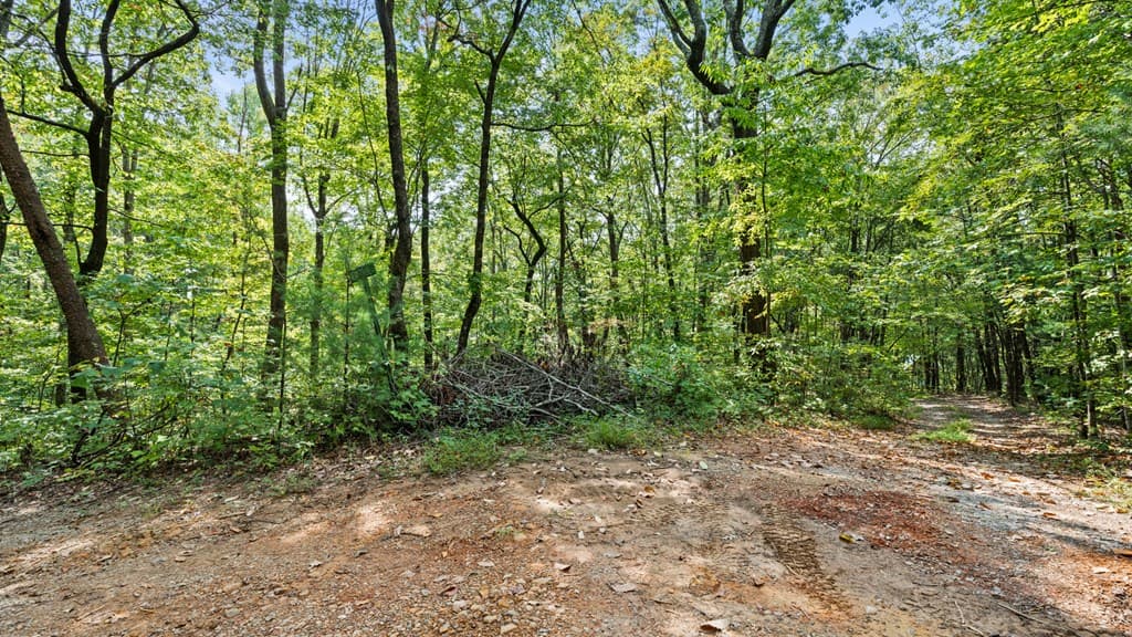 23 B Double Knob, Cherry Log GA 30522 - Photo