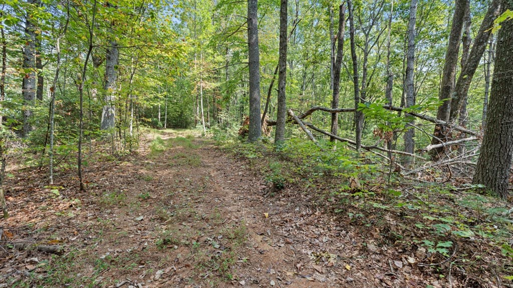 23 C Double Knob, Cherry Log GA 30522 - Photo