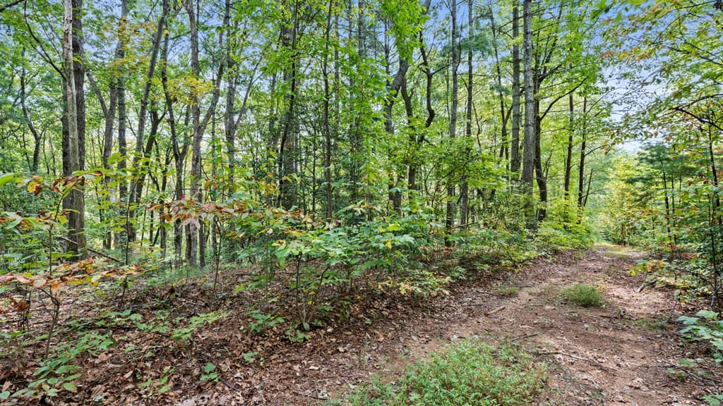 23 C Double Knob, Cherry Log GA 30522 - Photo