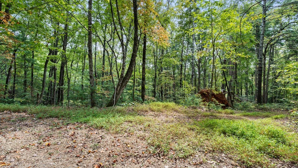 23 C Double Knob, Cherry Log GA 30522 - Photo