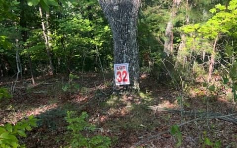 LT 32 Buck Creek Road, Ellijay GA 30540 - Photo