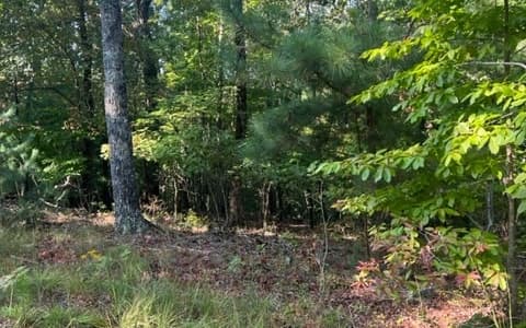LT 32 Buck Creek Road, Ellijay GA 30540 - Photo