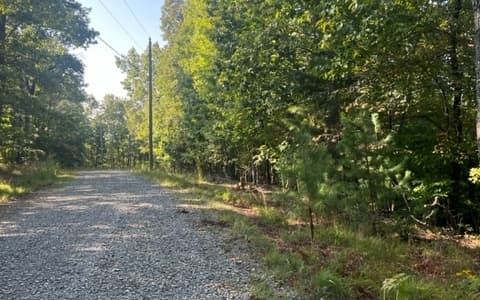 LT 32 Buck Creek Road, Ellijay GA 30540 - Photo
