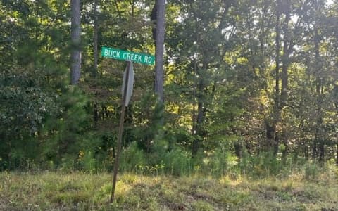 LT 32 Buck Creek Road, Ellijay GA 30540 - Primary photo
