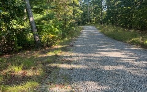 LT 32 Buck Creek Road, Ellijay GA 30540 - Photo
