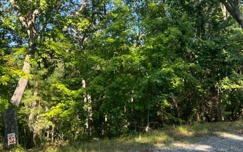 LT 32 Buck Creek Road, Ellijay GA 30540 - Photo