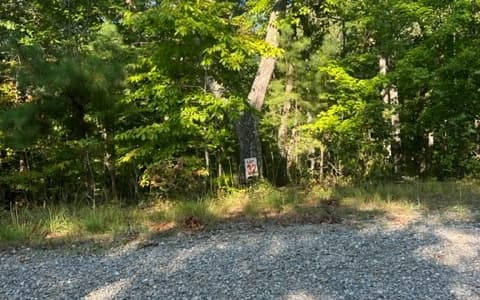 LT 32 Buck Creek Road, Ellijay GA 30540 - Photo