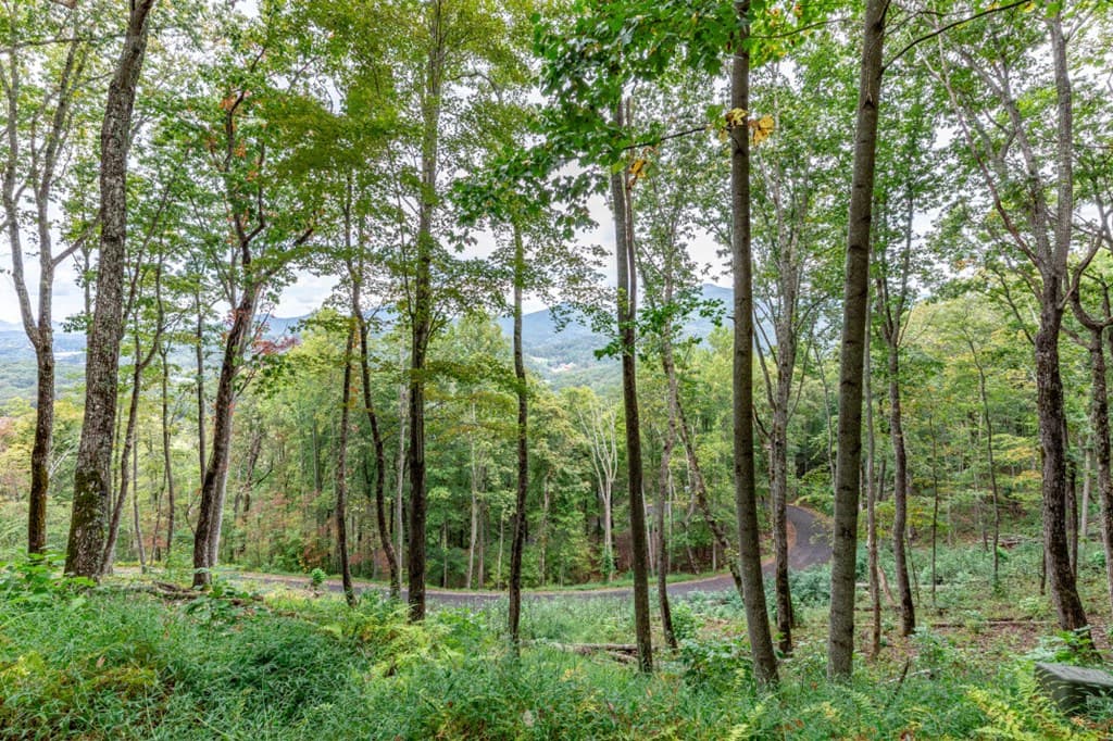 Lot 20 Buckhead Hills, Hiawassee GA 30546 - Photo