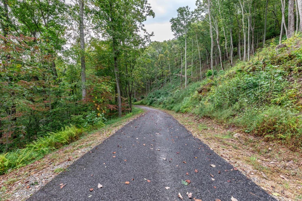 Lot 20 Buckhead Hills, Hiawassee GA 30546 - Photo