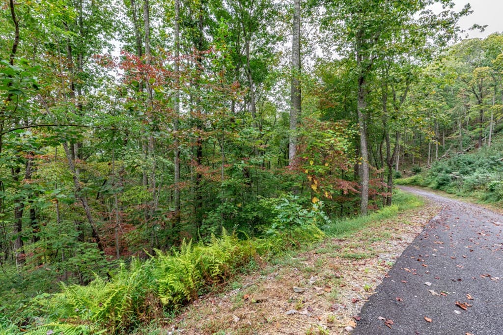 Lot 20 Buckhead Hills, Hiawassee GA 30546 - Photo