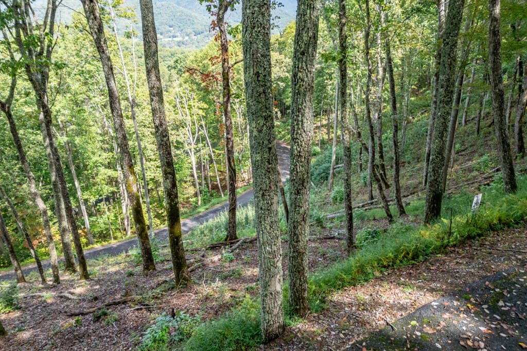 Lot 20 Buckhead Hills, Hiawassee GA 30546 - Photo