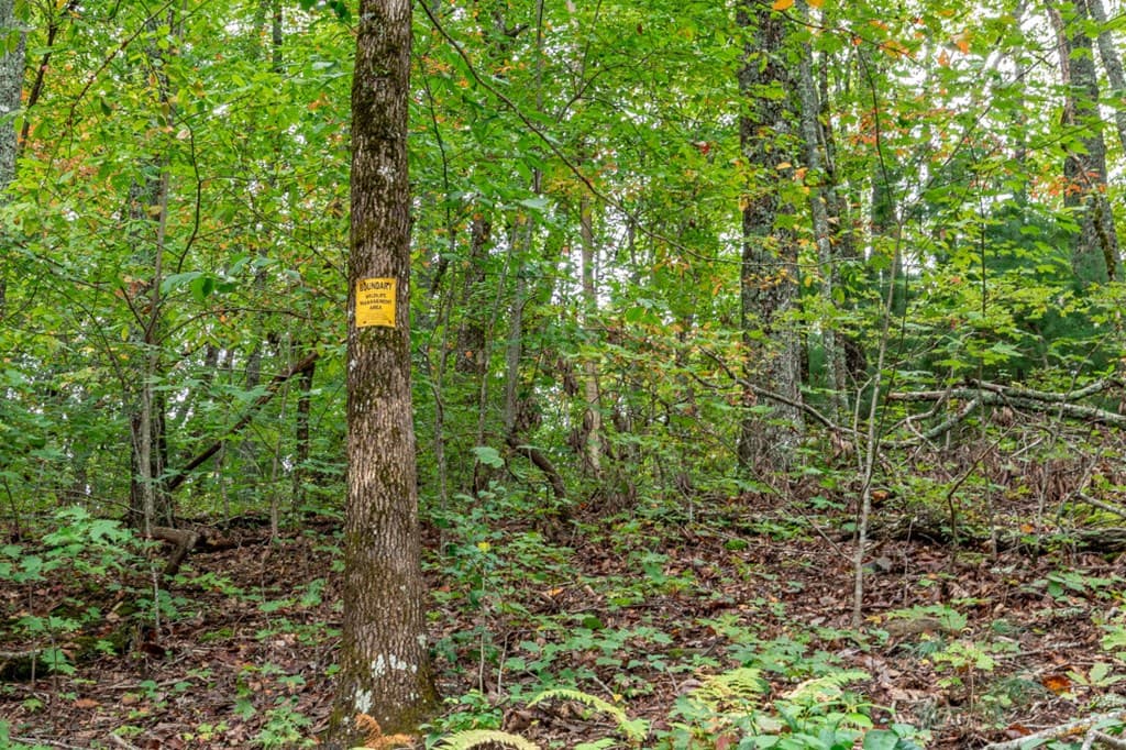 Lot 20 Buckhead Hills, Hiawassee GA 30546 - Photo