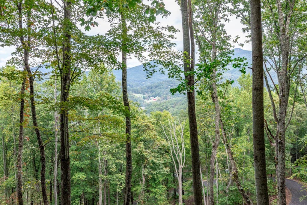 Lot 20 Buckhead Hills, Hiawassee GA 30546 - Photo