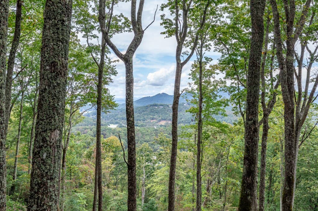 Lot 20 Buckhead Hills, Hiawassee GA 30546 - Photo
