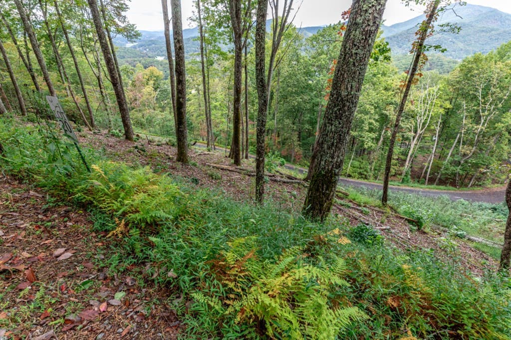 Lot 20 Buckhead Hills, Hiawassee GA 30546 - Photo