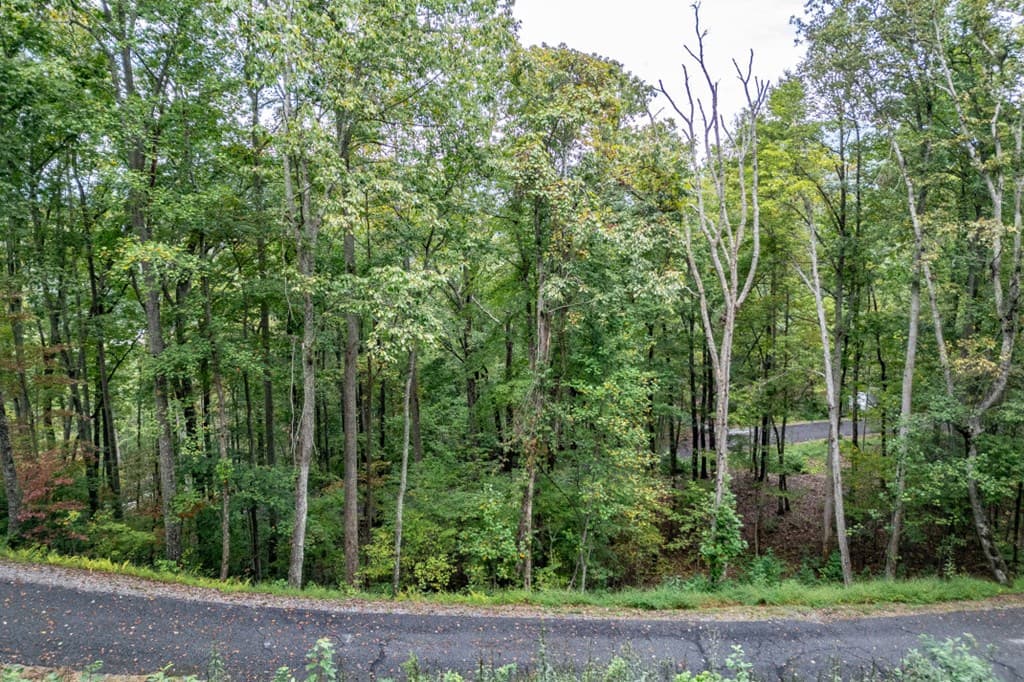 Lot 20 Buckhead Hills, Hiawassee GA 30546 - Photo